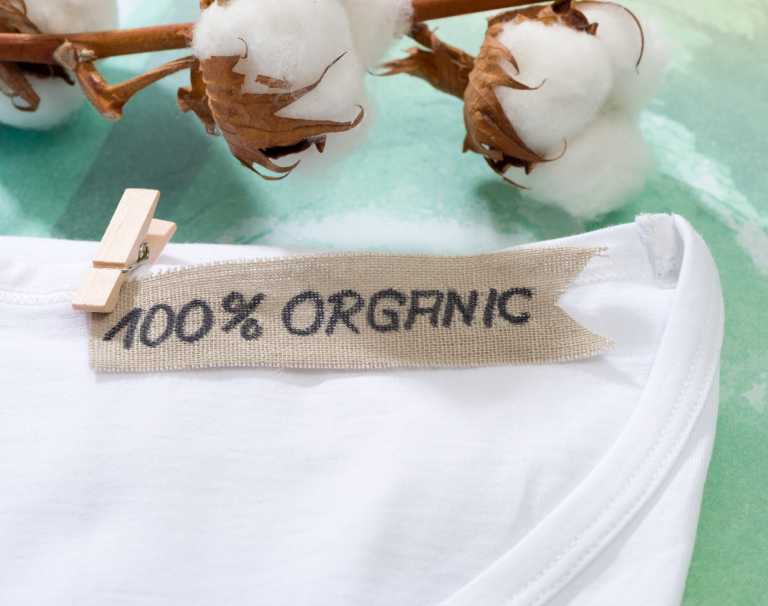 Czym jest bawełna organiczna i dlaczego warto kupować ubrania z tej tkaniny?